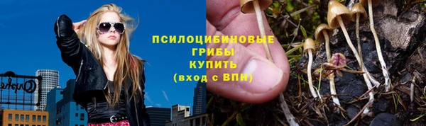 mdpv Медногорск