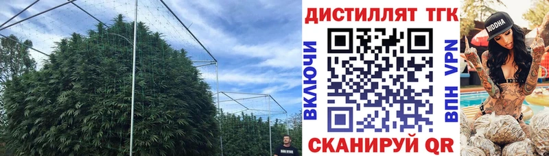 Дистиллят ТГК гашишное масло  Купить закладки  Нижние Серги 