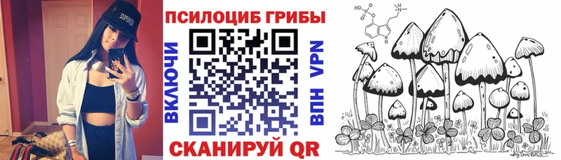 Купить где  Нижние Серги  Галлюциногенные грибы Psilocybine cubensis 